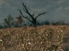 CoJBiBGame_x86 2009-07-01 02-55-50-40.jpg